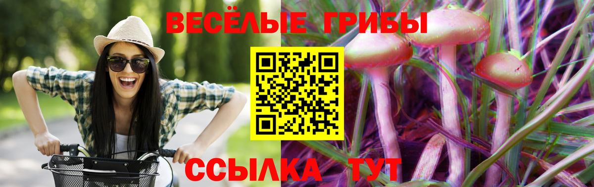 Псилоцибиновые грибы MAGIC MUSHROOMS  Вход с VPN  где найти   Кашира  Псилоцибиновые грибы прущие грибы 